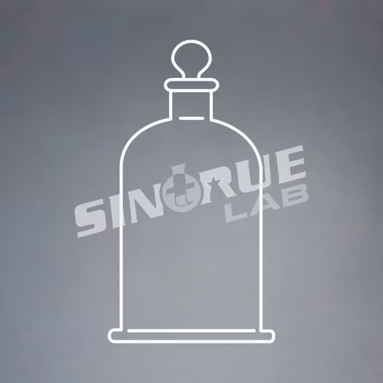 Essiccatore sottovuoto trasparente da laboratorio con terra