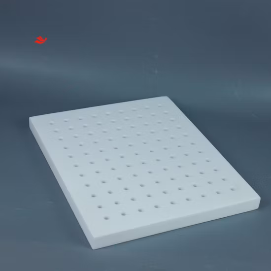 Analisi degli elementi in tracce PTFE con setaccio quadrato 300 * 250 mm
